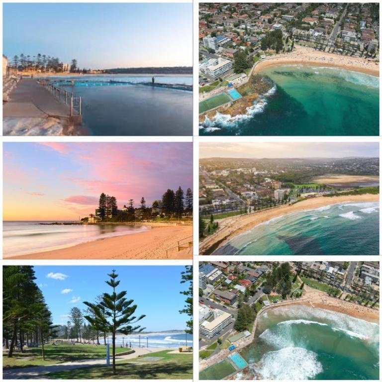 Dee Why - Surfrider 22 *